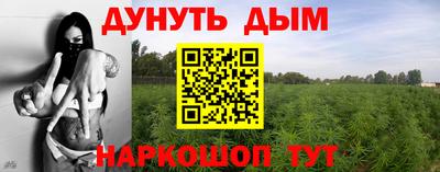 ГАЛЛЮЦИНОГЕННЫЕ ГРИБЫ Гусев