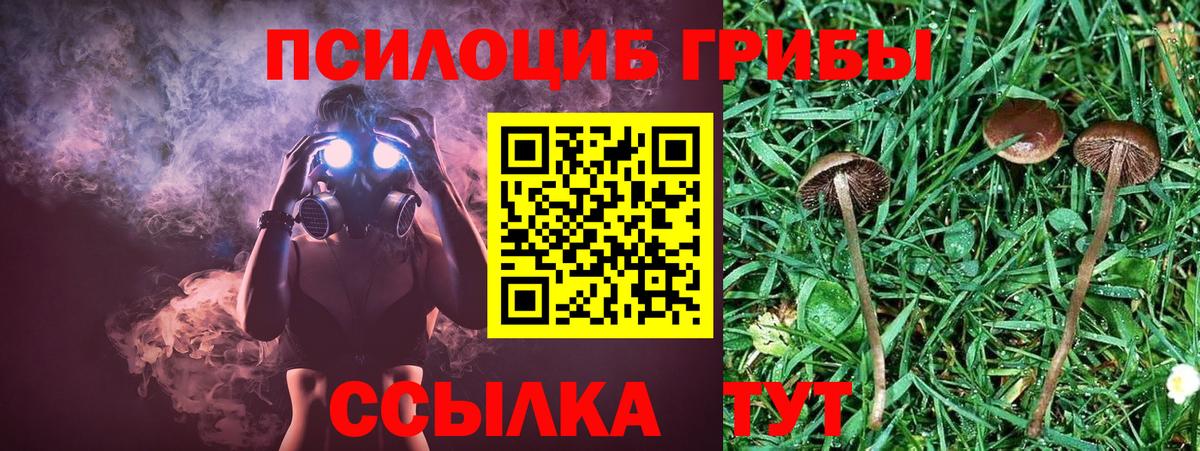 что такое наркотик  Вход с VPN  Галлюциногенные грибы Psilocybine cubensis  Нижнеудинск  Псилоцибиновые грибы ЛСД 