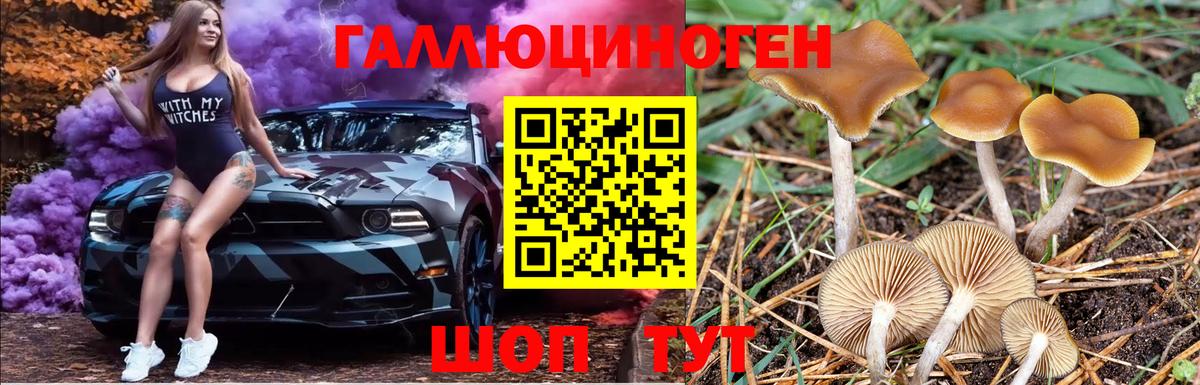Псилоцибиновые грибы мухоморы Нижнеудинск